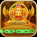 2022 world cup cricket Plus v2.9.4