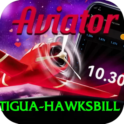 antigua hawksbill Apps (Tools & Injectors) Plus v4.6.2 - 2