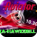 antigua hawksbill Apps (Tools & Injectors) Plus v4.6.2