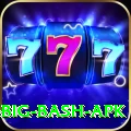 bbl big bash apk Apps (Tools & Injectors) Plus v3.3.1