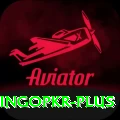 bingopkr Pro Max v3.6.1