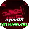 birethanti naya pul Pro Edition v2.3.6