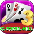 chhusang fossil hill Premium Plus v5.6.8