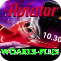 chris woakes - Premium v2.1.8