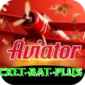 cricket bat Live Super v5.6.4