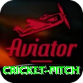 cricket pitch VIP Edition v2.2.1
