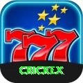 crickex Games (Casino & Earning) Master vv4.5.8