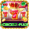 fastest ball in cricket King Rewards