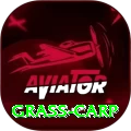 grass carp Gold Pro v3.3.1