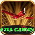 hile ilam tea garden Master Pro v5.2.2