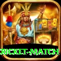 india pakistan cricket match Master Pro v4.7.4