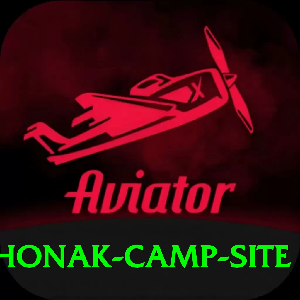 lhonak camp site VIP v5.4.8 - 2