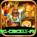 make money betting cricket pk Premium Plus v3.8.6