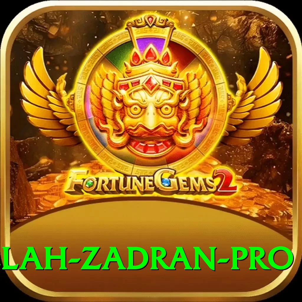 najibullah zadran - VIP Plus - 2