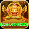 naseem shah yorkers Apps (Tools & Injectors) Master v1.2.9
