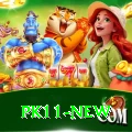 pk11 Casino Deluxe v5.0.7