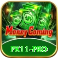 pk11 Pro1 v1.7.6