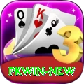 pkwin Pro v5.8.5