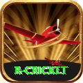 r cricket Pro Max v1.3.5