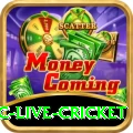 smartcric live cricket Games (Casino & Earning) Ultimate v5.7.5