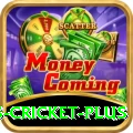 sports cricket Slot Machine Prime