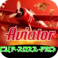 t 20 world cup 2022 VIP - Win Real PKR