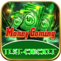 test cricket Pro1 v2.3.3