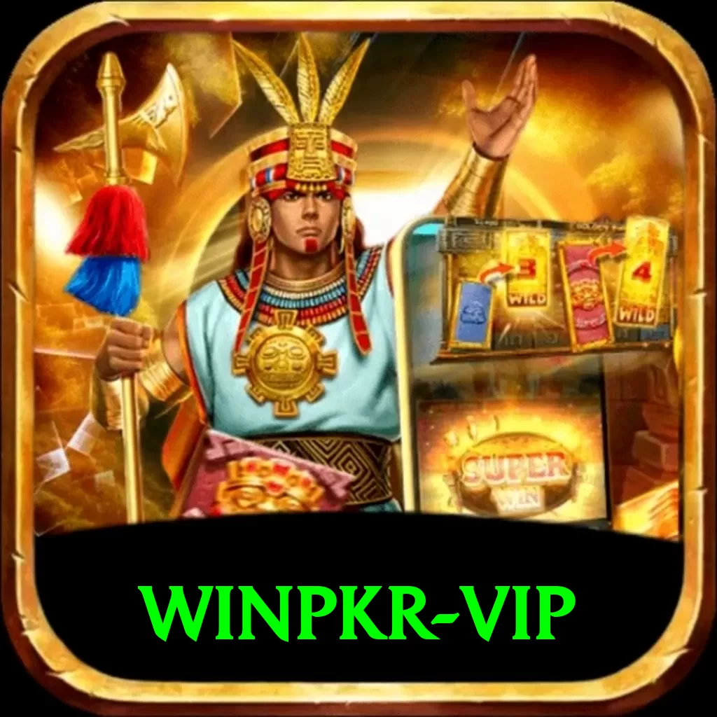 winpkr Pro Max v2.9.6 - 2